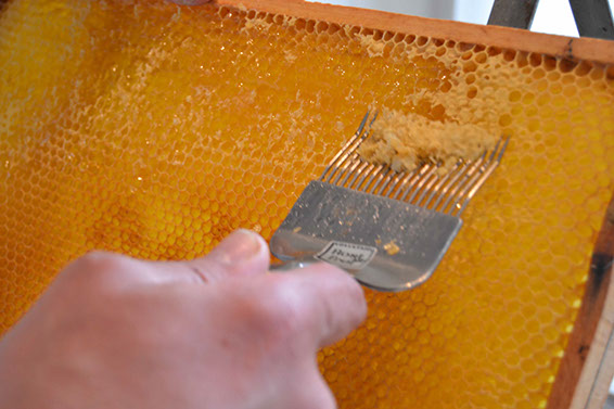 %_tempFileNameEntdeckelung%